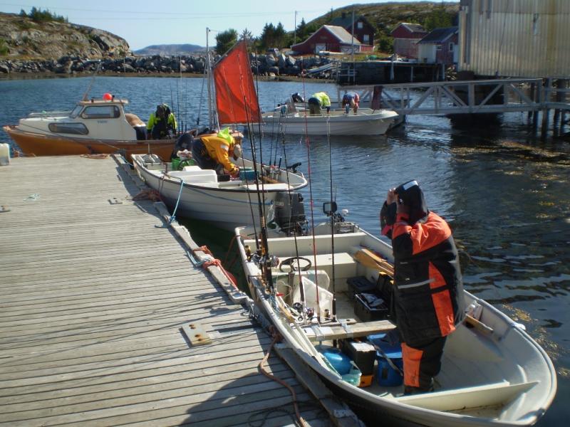 smavaeret 2008 033