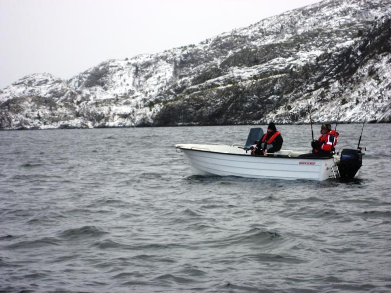 smavaeret 2011 2 040