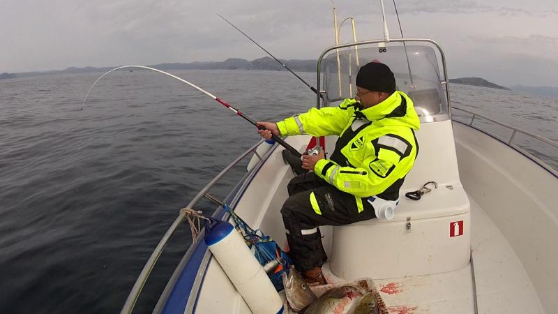 Soroya201239