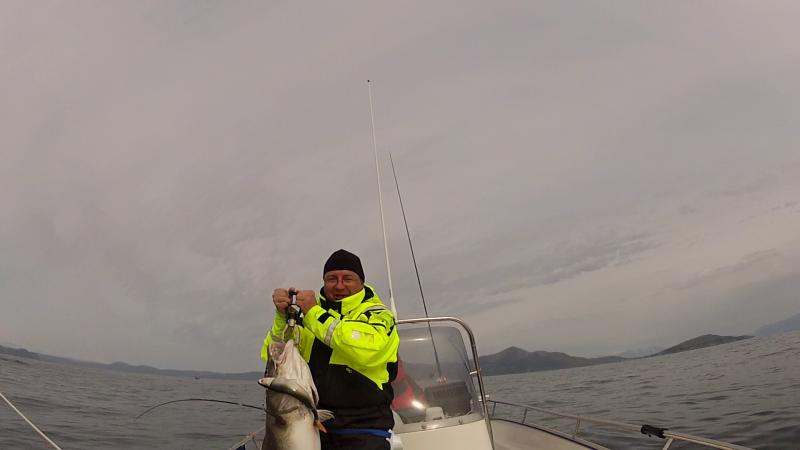 Soroya201240