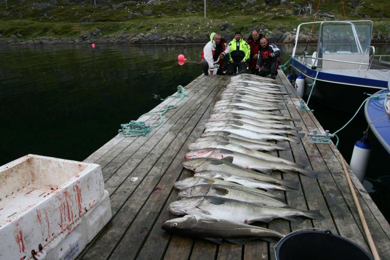 Soroya201241