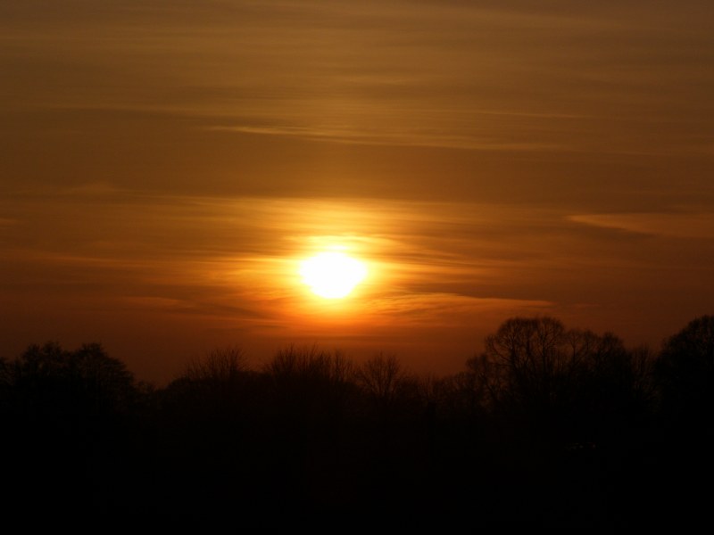 Spazieren mit Schatzi (34) 800x600