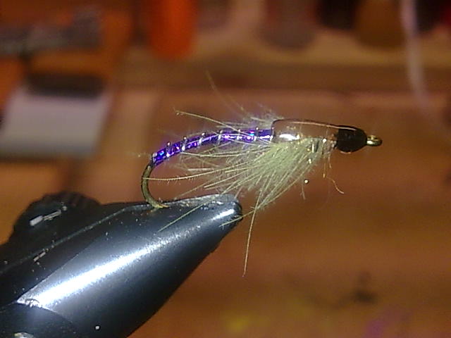 Stoneflynympf