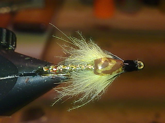 Stoneflynympfe