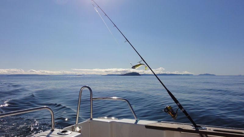 Stormi   der Buttbringer