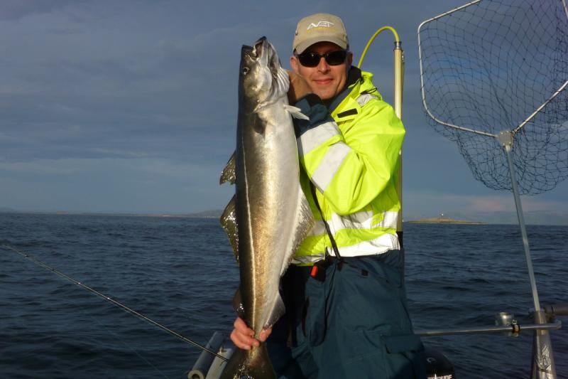 Strammer Flachwasserseelachs