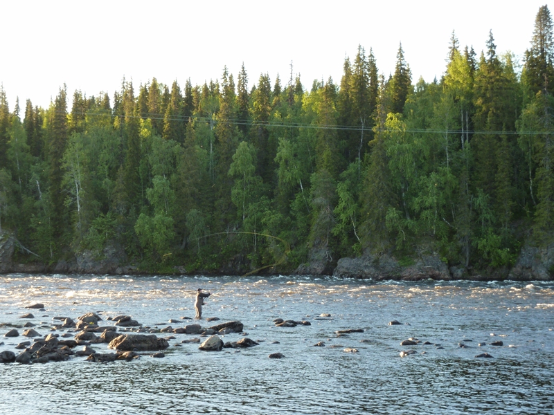 Tornefluss