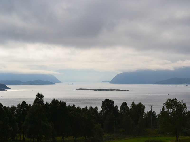 Trondheimleia klein 2