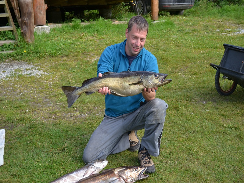 Trondheimleia klein 3