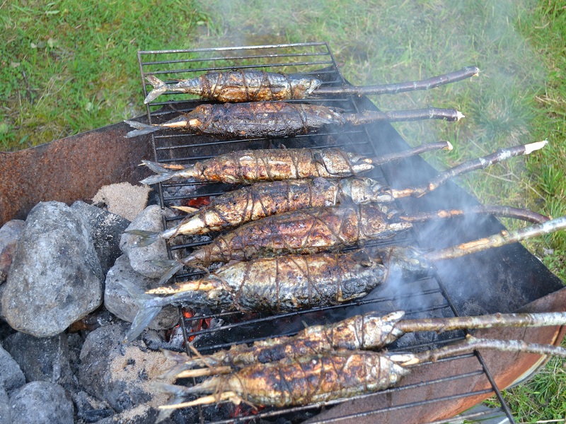 Trondheimsleia klein 5