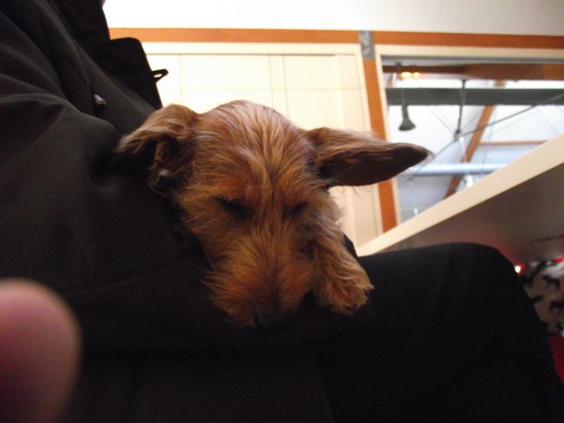 und nun ist ODIN müde