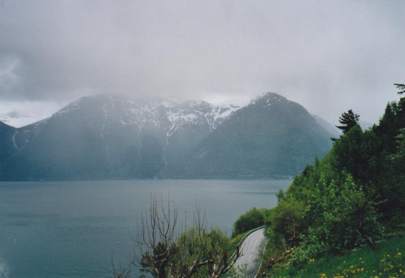 Und was sehen sie heute im Kino?
Bingo!!! "Der Regen"