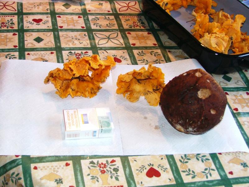 URLAUB  September 2004 026