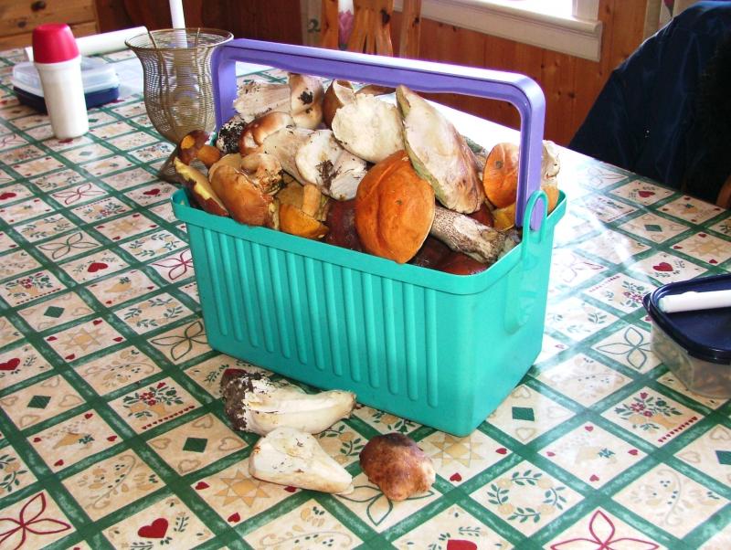 URLAUB  September 2004 064