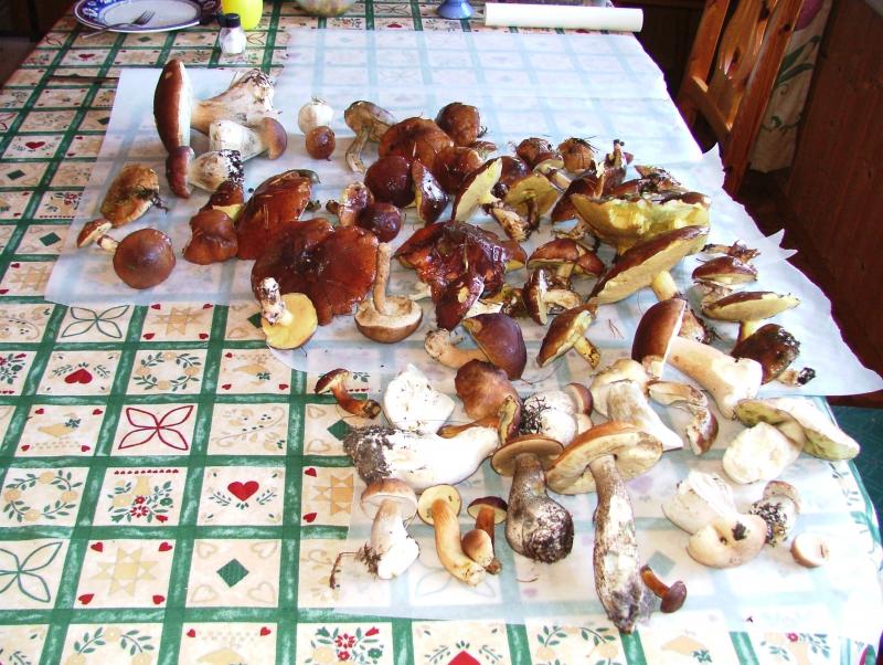 URLAUB  September 2004 065