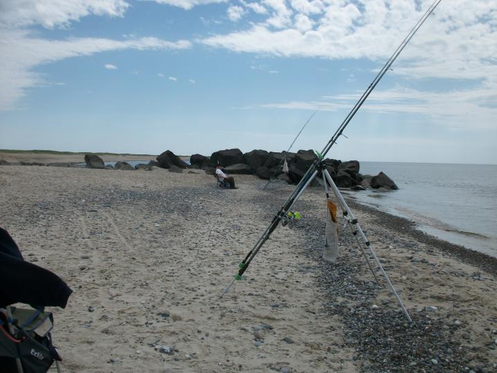 vrist 31
am Strand von Vrist,Mai 2014