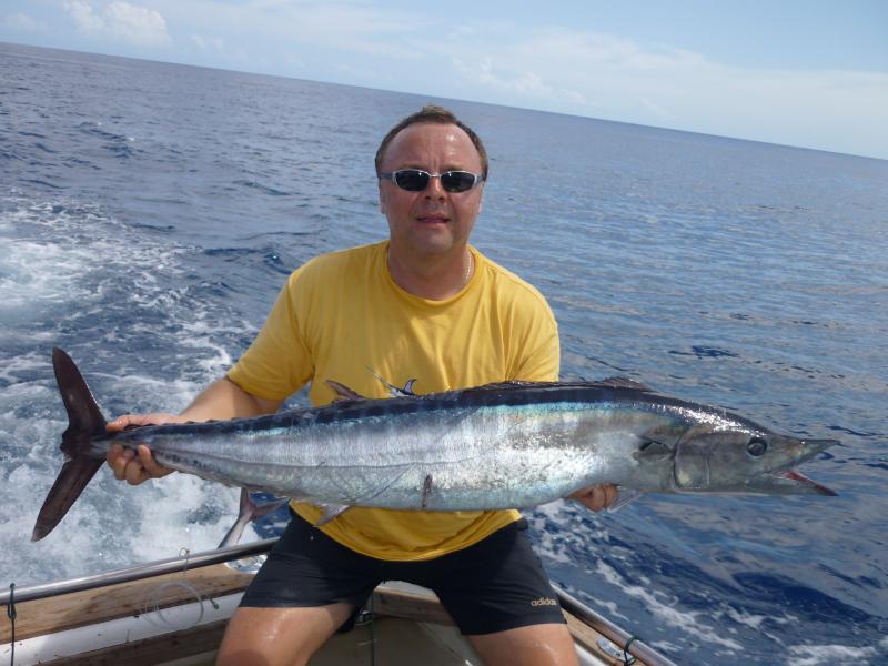 Wahoo
