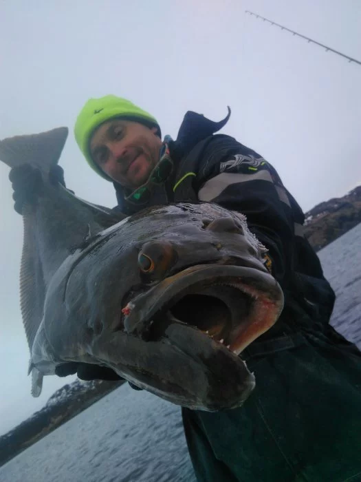 WhatsApp Image 2017-05-25 At 09.48.52