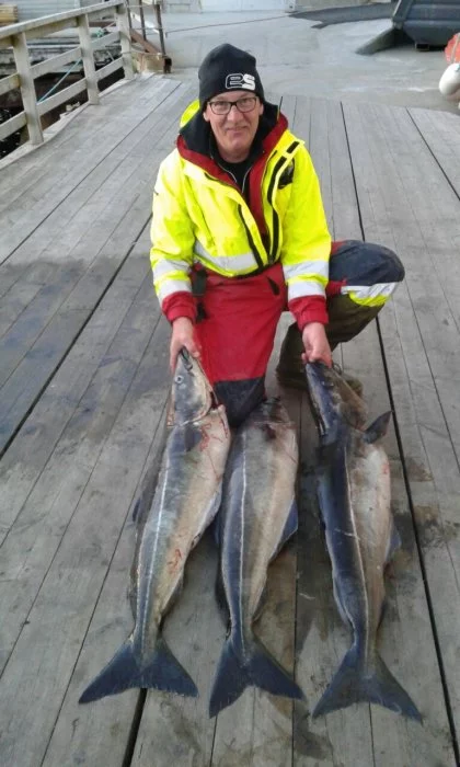 WhatsApp Image 2017-06-08 At 10.46.12(1)