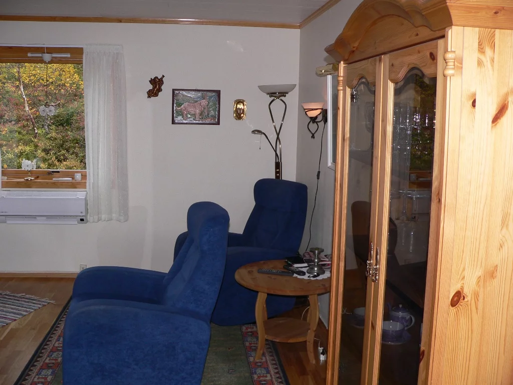 Wohnzimmer / Fernsehsessel