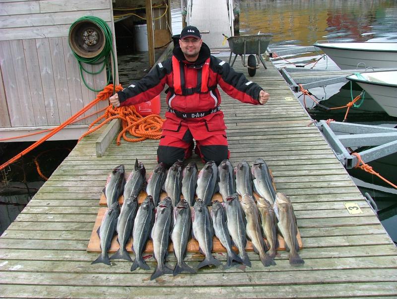 Zanzibar inn - Flatanger