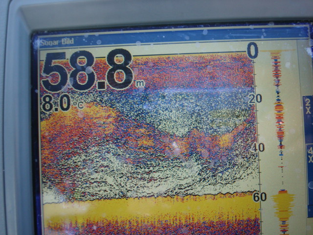 Zielgruppe gefunden!!!